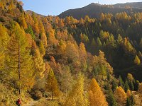 Autunno in Val Varrone (26 ottobre 08) - FOTOGALLERY